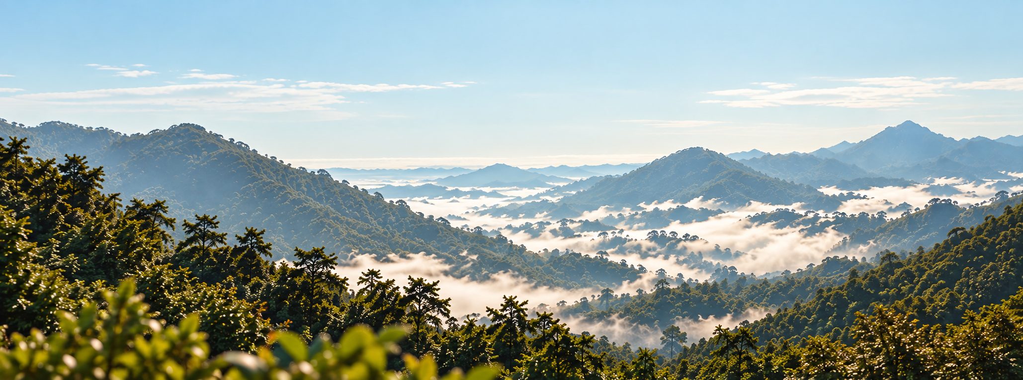 Forested mountains rising above valleys filled with cloud.